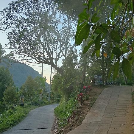 Jepun Homestay Lemukih Singaraja  Exterior photo