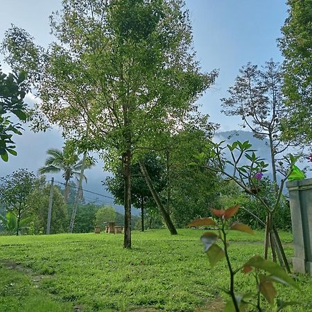 Jepun Homestay Lemukih Singaraja  Exterior photo