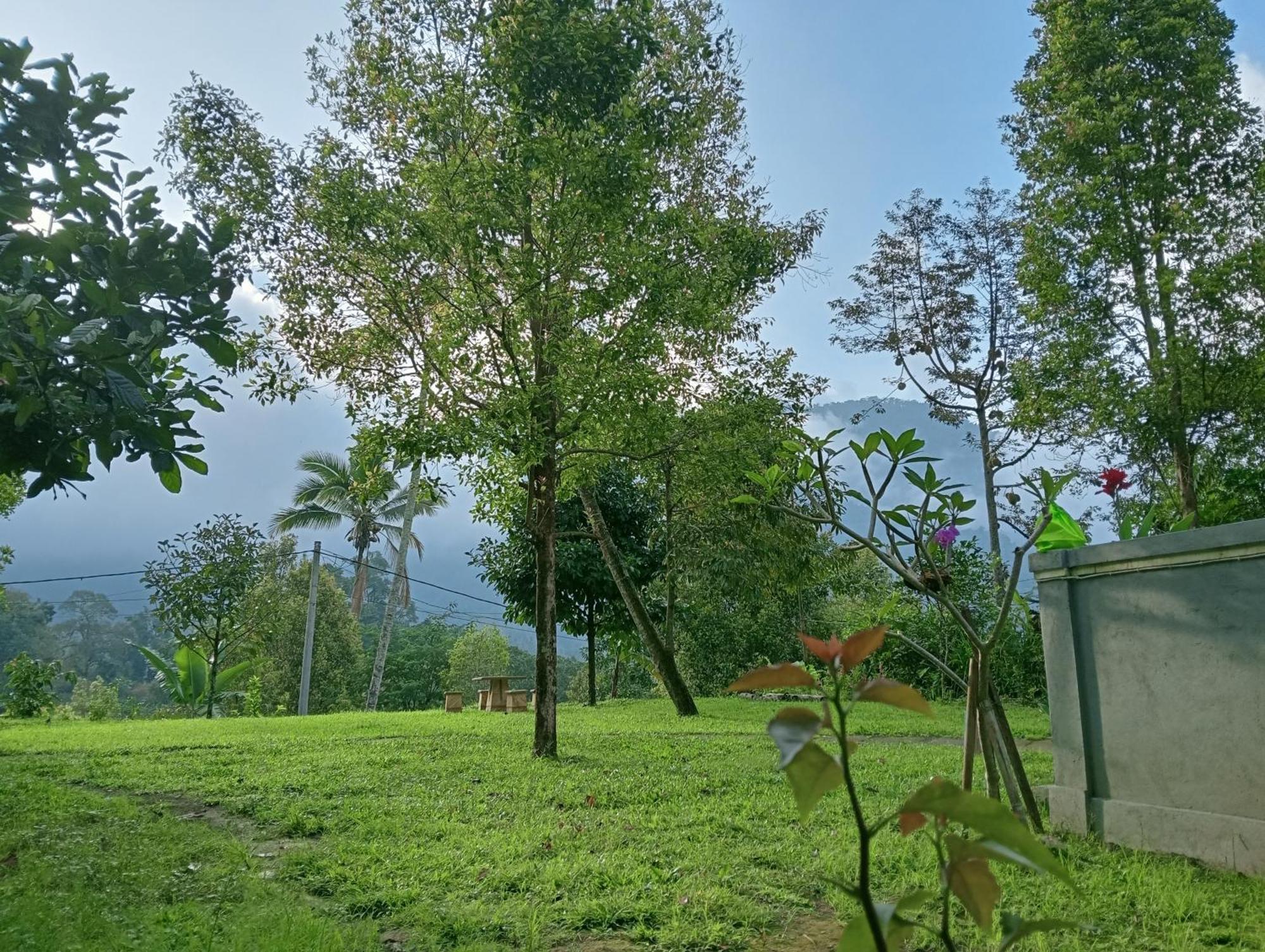 Jepun Homestay Lemukih Singaraja  Exterior photo